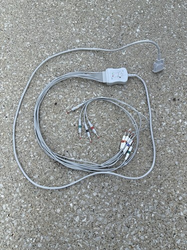 Genuine pin leads - 10,