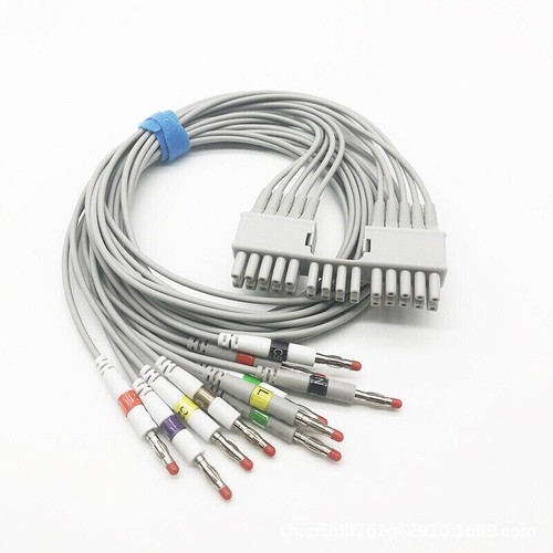 Leads holter ecg ekg - 10,